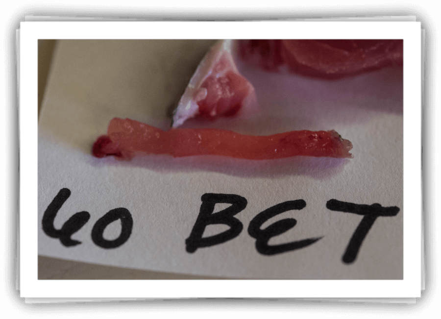 Tuna Sample
