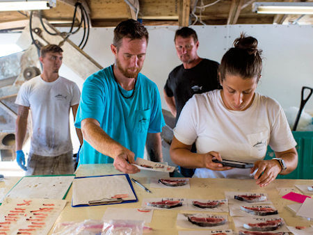 Fresh Catch Seafood Employees hard at work checking fresh OBX tuna quality